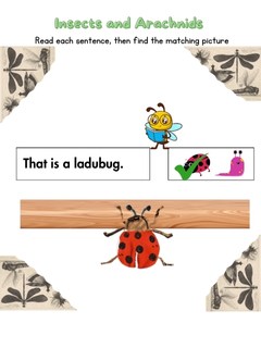 Maching Picture Maching Picture