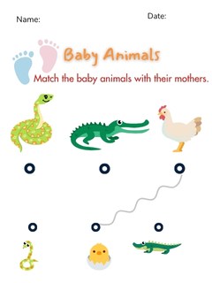 Baby Animals Baby Animals